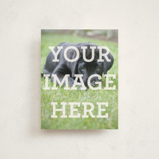 The Big Picture Personalized Stationery