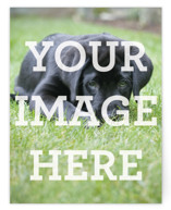 The Big Picture Personalized Stationery