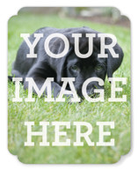 The Big Picture Personalized Stationery