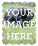 The Big Picture Personalized Stationery