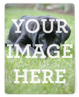 The Big Picture Personalized Stationery