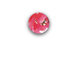 Guapa Rounded Closure Sticker