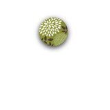 Everything Green Rounded Closure Sticker
