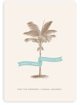 Palm Save the Date Magnets
