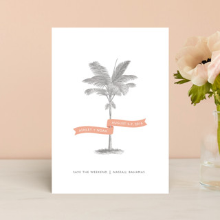 Palm Save the Date Postcards