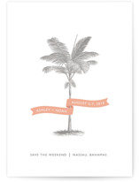 Palm Save the Date Postcards