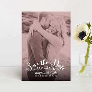 Photogenic Save the Date Postcards