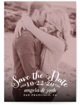 Photogenic Save the Date Postcards