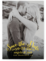 Photogenic Save the Date Postcards