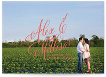 Timeless Bold Typography Save the Date Postcards