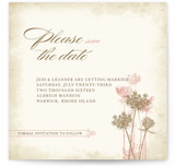 Rustic Queen Anne Save the Date Cards