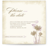 Rustic Queen Anne Save the Date Cards
