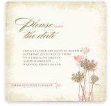 Rustic Queen Anne Save the Date Cards