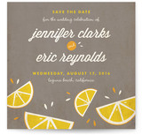 Citrus Lovin' Save the Date Cards
