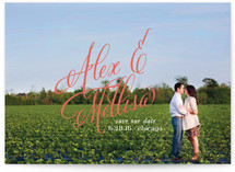 Timeless Bold Typography Save the Date Cards