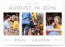 Picture Perfect Save the Date Cards