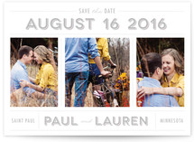 Picture Perfect Save the Date Cards