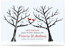 Together at Last Save the Date Cards
