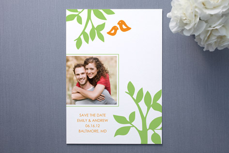 The Birds and Trees Save the Date Cards