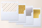 Slip-In Envelope Liners