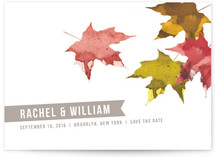 Painted Leaves Save the Date Cards