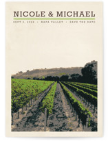 St Helena Save the Date Cards