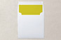 Slip-In Envelope Liners