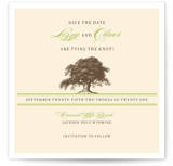 Oak Tree Save the Date Cards