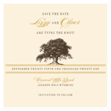Oak Tree Save the Date Cards, by Annie Clark
