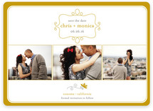 Simple Charm Save the Date Cards