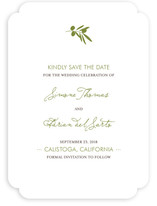 Simple Olive Save the Date Cards