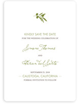 Simple Olive Save the Date Cards