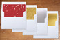 Slip-In Envelope Liners