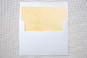 Slip-In Envelope Liners