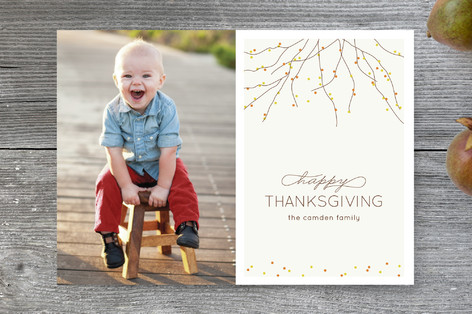 Harvest Branches Thanksgiving Cards