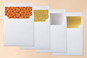 Slip-In Envelope Liners