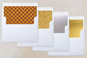 Slip-In Envelope Liners