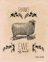 Ewe are Sweet Thank You Cards
