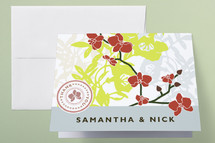 Thank You Cards