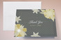 Thank You Cards
