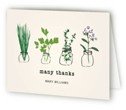 Thank You Herbs Thank You Cards