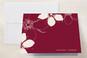 Thank You Cards