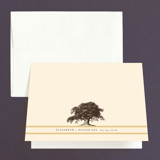 Thank You Cards