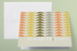 Thank You Cards