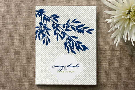 Olive Branch Thank You Cards