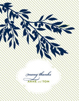 Olive Branch Thank You Cards