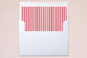 Slip-In Envelope Liners