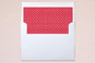 Slip-In Envelope Liners