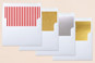 Slip-In Envelope Liners