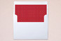 Slip-In Envelope Liners